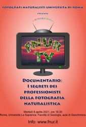 8 maggio 2012 – FNUR TV