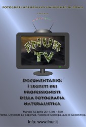 12 aprile 2011 – Documentario