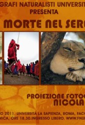 29 marzo 2011 – Vita e morte nel Serengeti