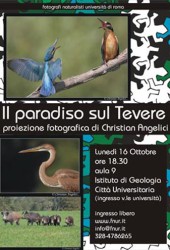 15 ottobre 2007 – Il paradiso sul Tevere