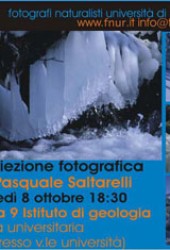 8 ottobre 2007 – Espressioni d’inverno