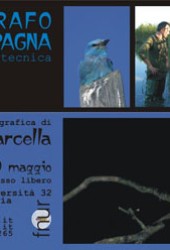 30 maggio 2007 – Fotografo di campagna