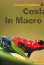 23 maggio 2007 – Costarica in Macro e Tele