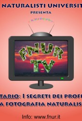 11 febbraio 2014 – FNUR TV