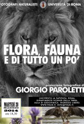 20 maggio 2014 – Giorgio Paroletti