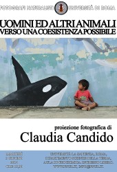 3 giugno 2014 – Claudia Candido