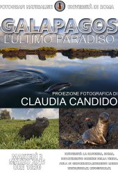 3 marzo 2015 – Claudia Candido